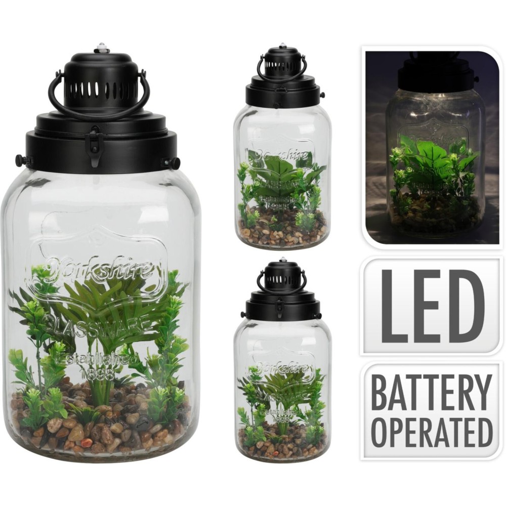 PIANTA CON VASO IN VETRO E LED